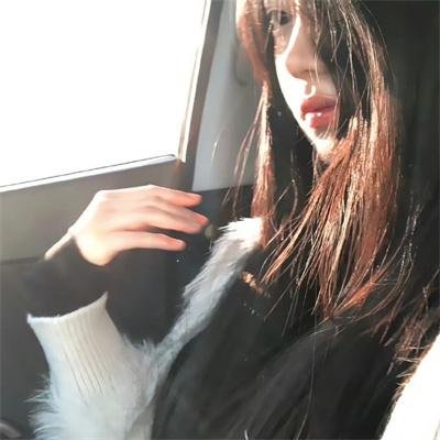 诱饵2019